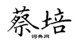 丁謙蔡培楷書個性簽名怎么寫