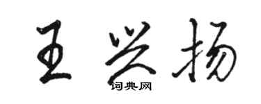 駱恆光王興揚行書個性簽名怎么寫