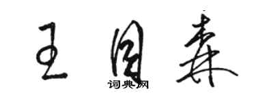 駱恆光王目森草書個性簽名怎么寫