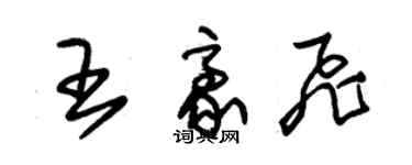 朱錫榮王豪飛草書個性簽名怎么寫