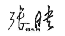 駱恆光張映草書個性簽名怎么寫