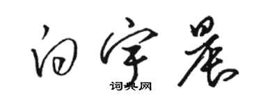 駱恆光白宇晨草書個性簽名怎么寫