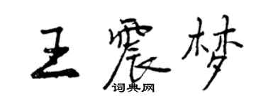 曾慶福王震夢行書個性簽名怎么寫