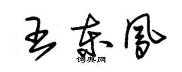 朱錫榮王東鳳草書個性簽名怎么寫