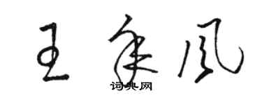 駱恆光王年風草書個性簽名怎么寫