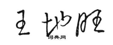 駱恆光王地旺草書個性簽名怎么寫