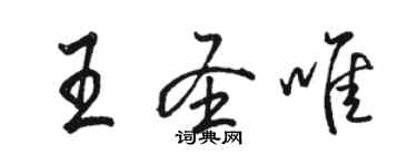 駱恆光王聖唯行書個性簽名怎么寫