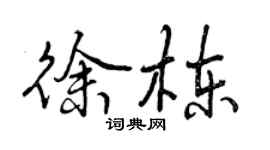 曾慶福徐棟行書個性簽名怎么寫