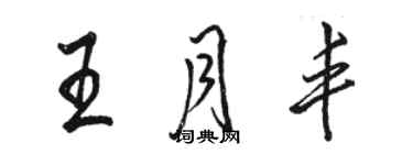 駱恆光王月豐行書個性簽名怎么寫