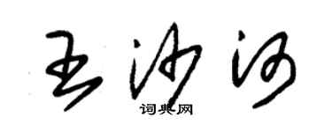 朱錫榮王沙河草書個性簽名怎么寫