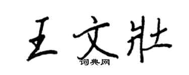 王正良王文壯行書個性簽名怎么寫