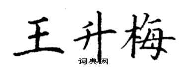 丁謙王升梅楷書個性簽名怎么寫