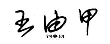 朱錫榮王由甲草書個性簽名怎么寫