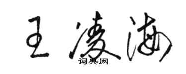 駱恆光王凌海草書個性簽名怎么寫