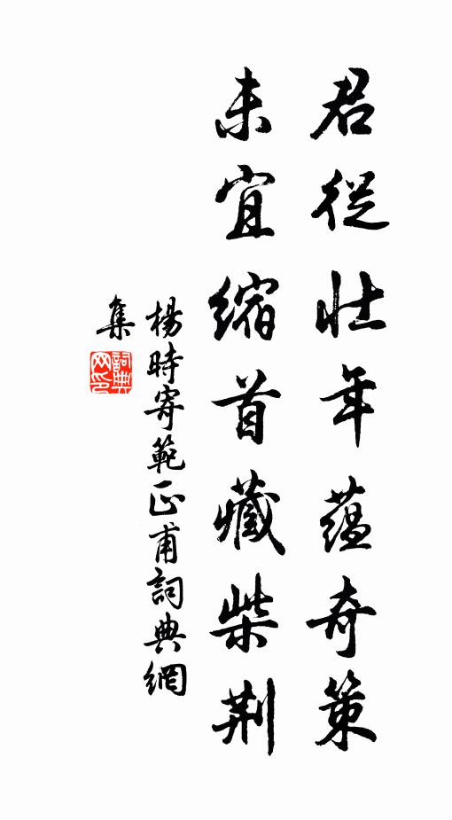 吾鄉蔡子喜談兵，早歲曾過阿戎語 詩詞名句