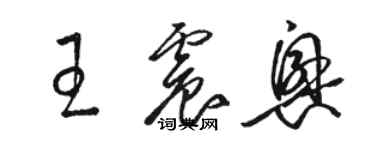 駱恆光王震興草書個性簽名怎么寫