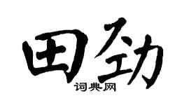 翁闓運田勁楷書個性簽名怎么寫