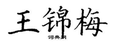 丁謙王錦梅楷書個性簽名怎么寫