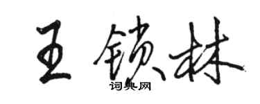駱恆光王鎖林行書個性簽名怎么寫