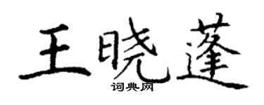丁謙王曉蓬楷書個性簽名怎么寫