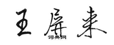 駱恆光王屏來行書個性簽名怎么寫