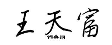 王正良王天富行書個性簽名怎么寫