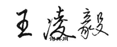 駱恆光王凌毅行書個性簽名怎么寫