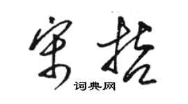 駱恆光宋哲草書個性簽名怎么寫