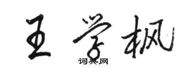 駱恆光王學楓行書個性簽名怎么寫