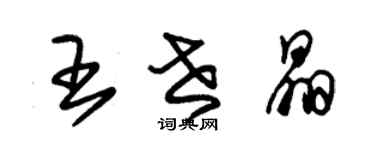 朱錫榮王世晶草書個性簽名怎么寫