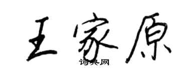 王正良王家原行書個性簽名怎么寫