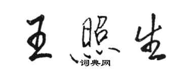 駱恆光王照生行書個性簽名怎么寫