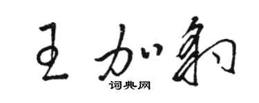 駱恆光王加豹草書個性簽名怎么寫