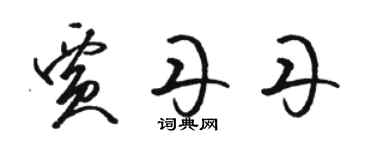 駱恆光賈丹丹草書個性簽名怎么寫