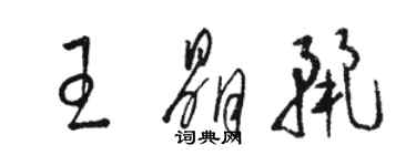 駱恆光王晶麗草書個性簽名怎么寫