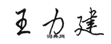 駱恆光王力建行書個性簽名怎么寫