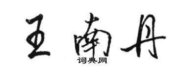 駱恆光王南丹行書個性簽名怎么寫