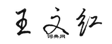 駱恆光王文紅行書個性簽名怎么寫