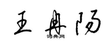 梁錦英王冉陽草書個性簽名怎么寫