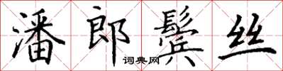 丁謙潘郎鬢絲楷書怎么寫