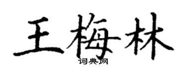 丁謙王梅林楷書個性簽名怎么寫