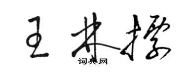 駱恆光王林標草書個性簽名怎么寫