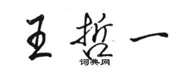 駱恆光王哲一行書個性簽名怎么寫