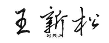 駱恆光王新松行書個性簽名怎么寫
