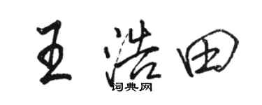 駱恆光王浩田行書個性簽名怎么寫