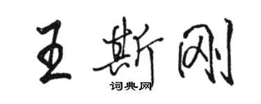 駱恆光王斯剛行書個性簽名怎么寫