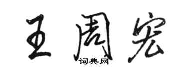 駱恆光王周宏行書個性簽名怎么寫