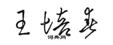 駱恆光王培春草書個性簽名怎么寫