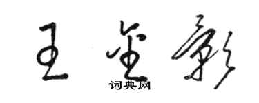 駱恆光王金影草書個性簽名怎么寫