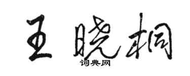 駱恆光王曉桐行書個性簽名怎么寫